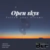 DJ Tiny M - Open Skys - Single